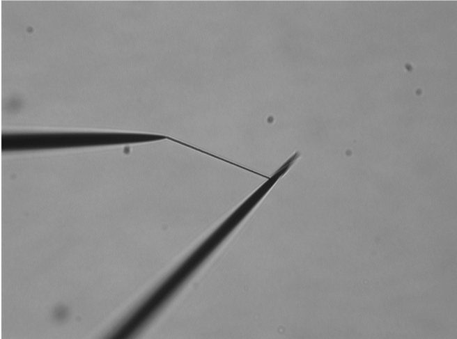 Figure 3. PEDOT wire connection for current-Voltage profiles