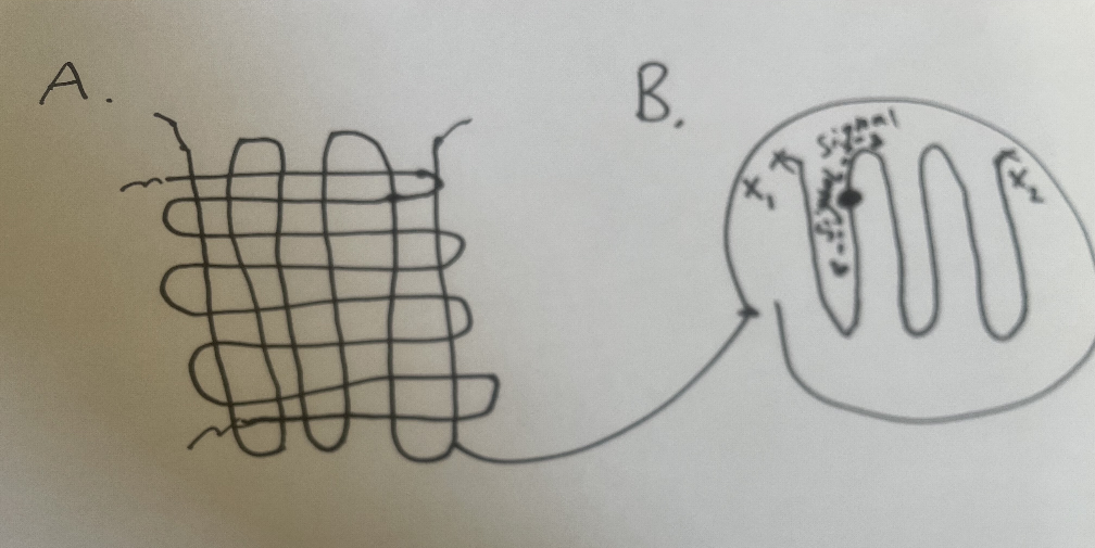 A. Cartoon of what the wires in a delay line look. B. Signal propogating through one wire in a delay line. Note that each point along the wire has a characteristic time for each signal to reach each corner labeled x1 and x2.