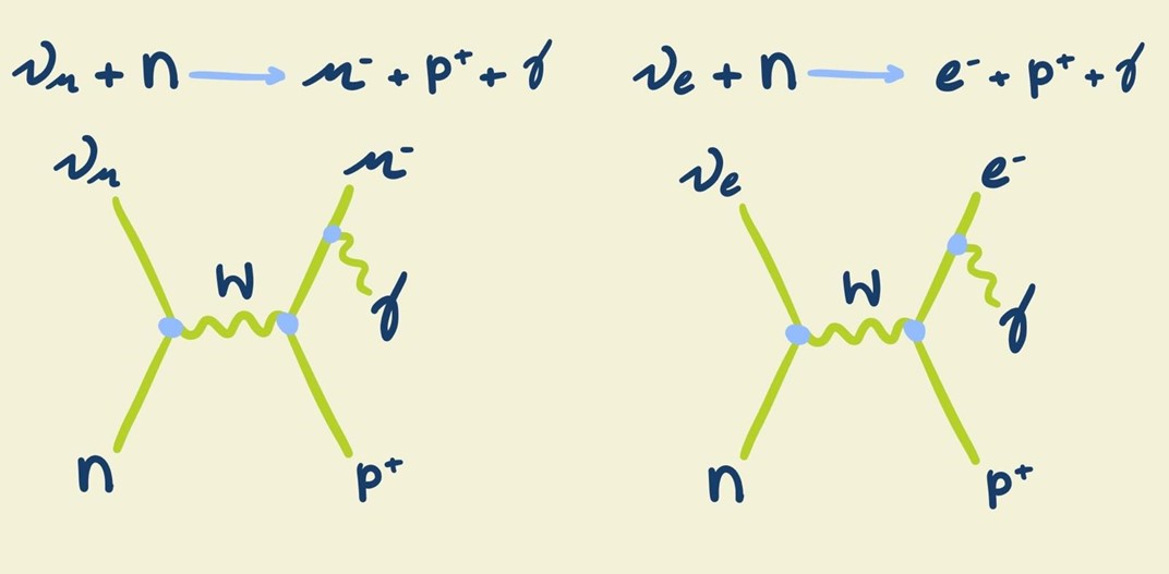 Fig 5.
