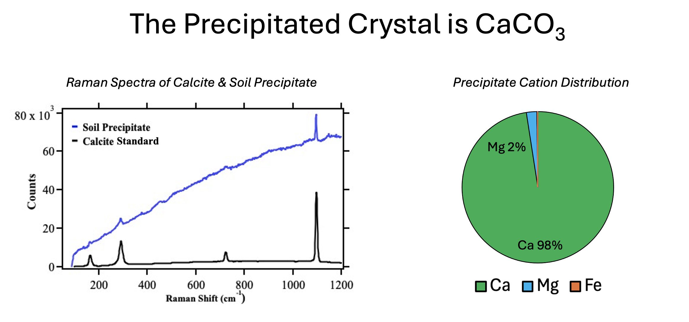 A Raman spectrum (left) indicates that the minerals indeed contained carbonate in their lattice, as evidenced by the large Raman peak. AES (right) indicates that the minerals were indeed calcium carbonate.