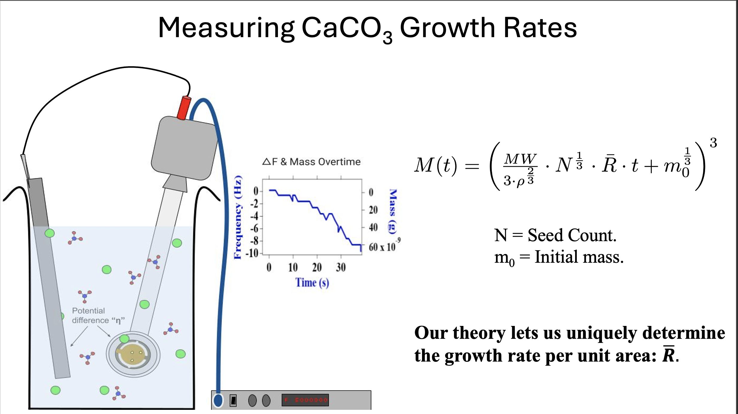 A schematic of a typical growth experiment. Crystals form on the submerged gold surface, the working electrode. The crystal mass is measured in real time. This schematic includes a second electrode, connected to the working electrode. The resulting potential difference induces a series of chemical reactions, ultimately enhancing the growth rate of calcium carbonate crystals. This technique was employed in otherwise slow-growing supernatants.