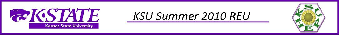 banner.jpg