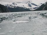 IMG_9014 