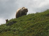 CIMG_7706 