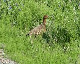CIMG_7794 